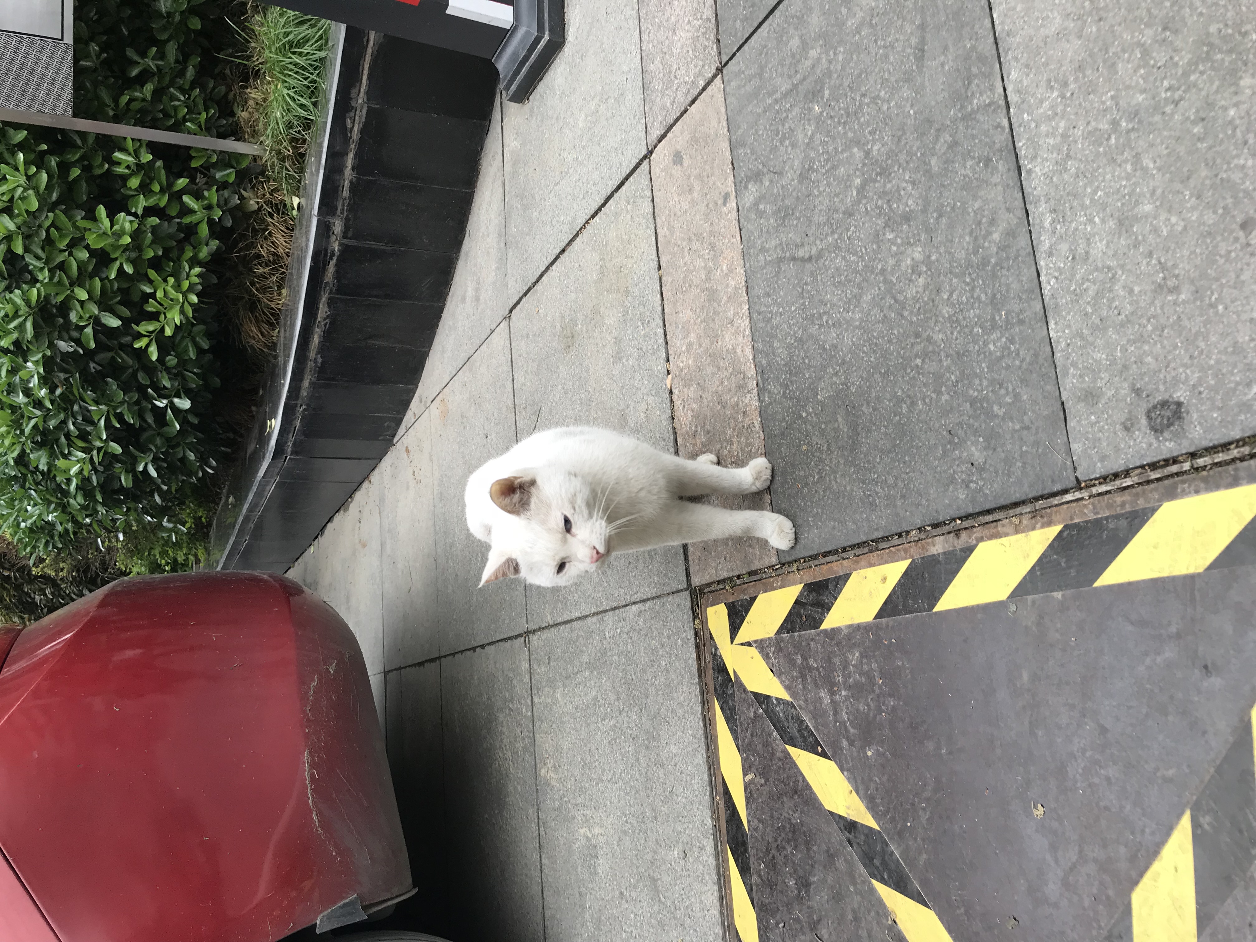 ./2018/03 - Viking China/11 - Xian/IMG_6566.JPG